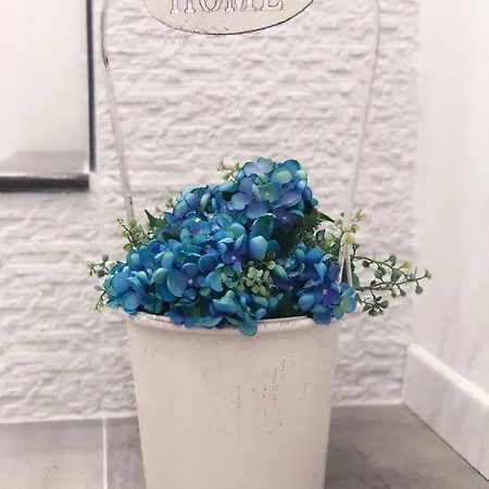 住宿加早餐酒店 Vacanze