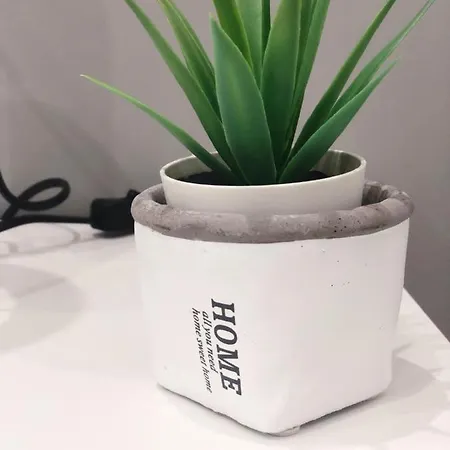 住宿加早餐酒店 Vacanze 卡尔塔尼塞塔