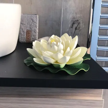 住宿加早餐酒店 Vacanze 4*